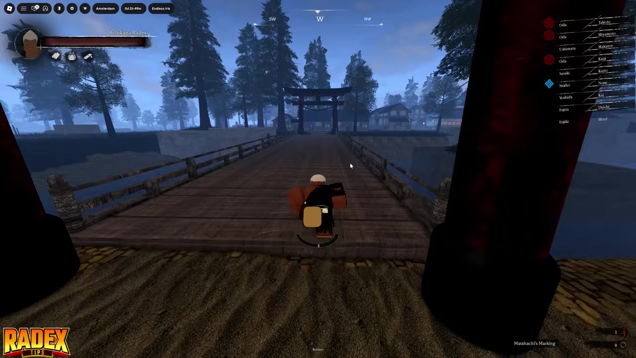 Use Sense to reach a Shrine