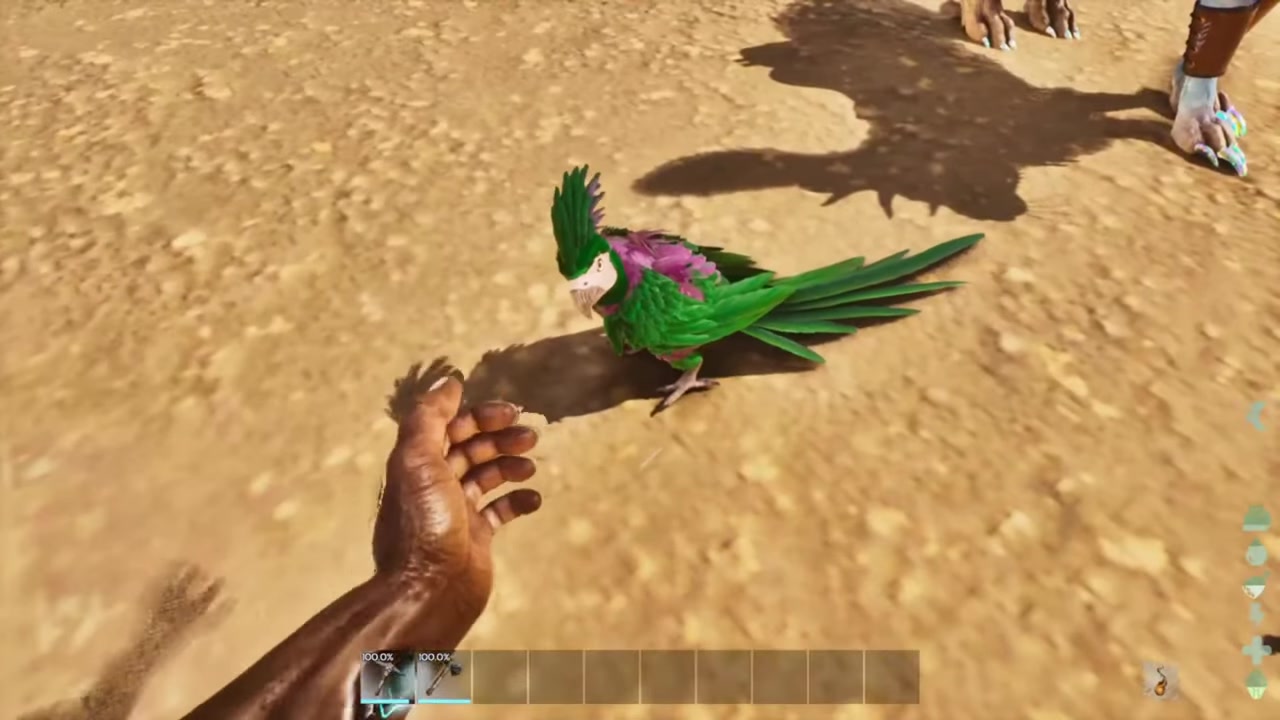 Emote to perch it