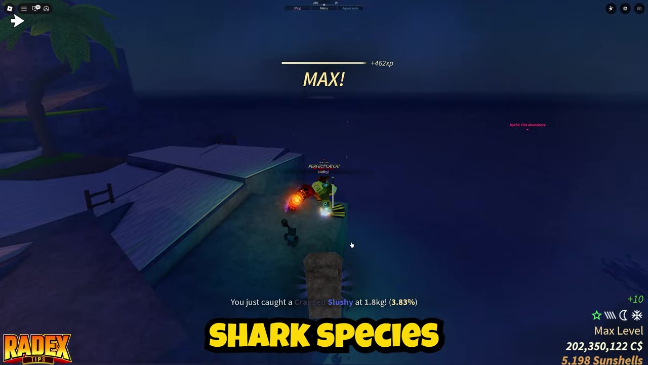 Check which shark appears