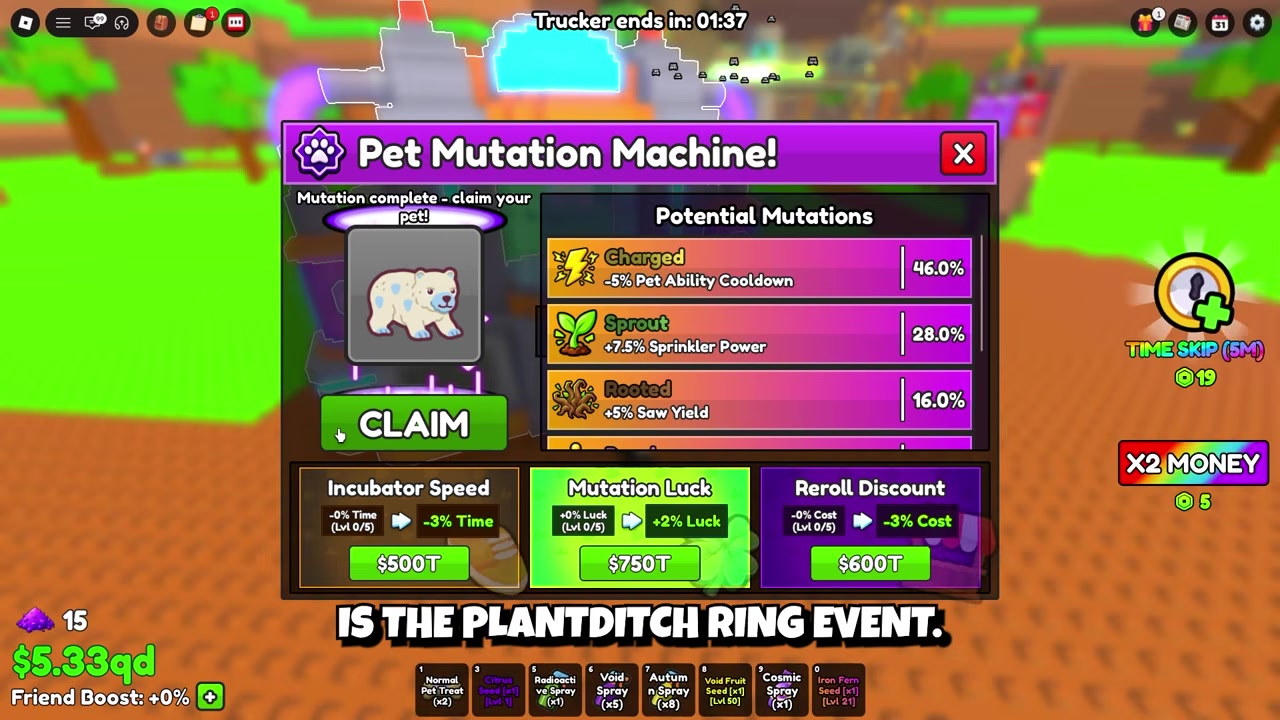 Clear your hourly and daily Wizard Quests