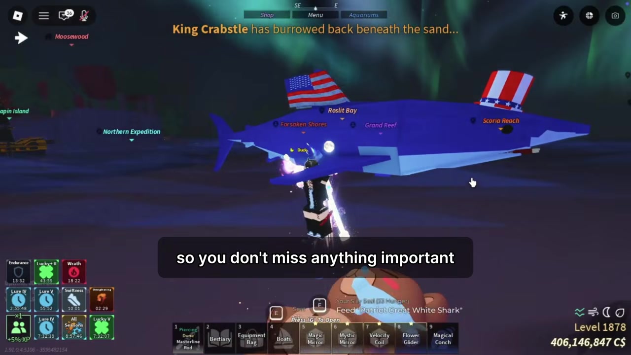 Wait for a natural Shark Hunt