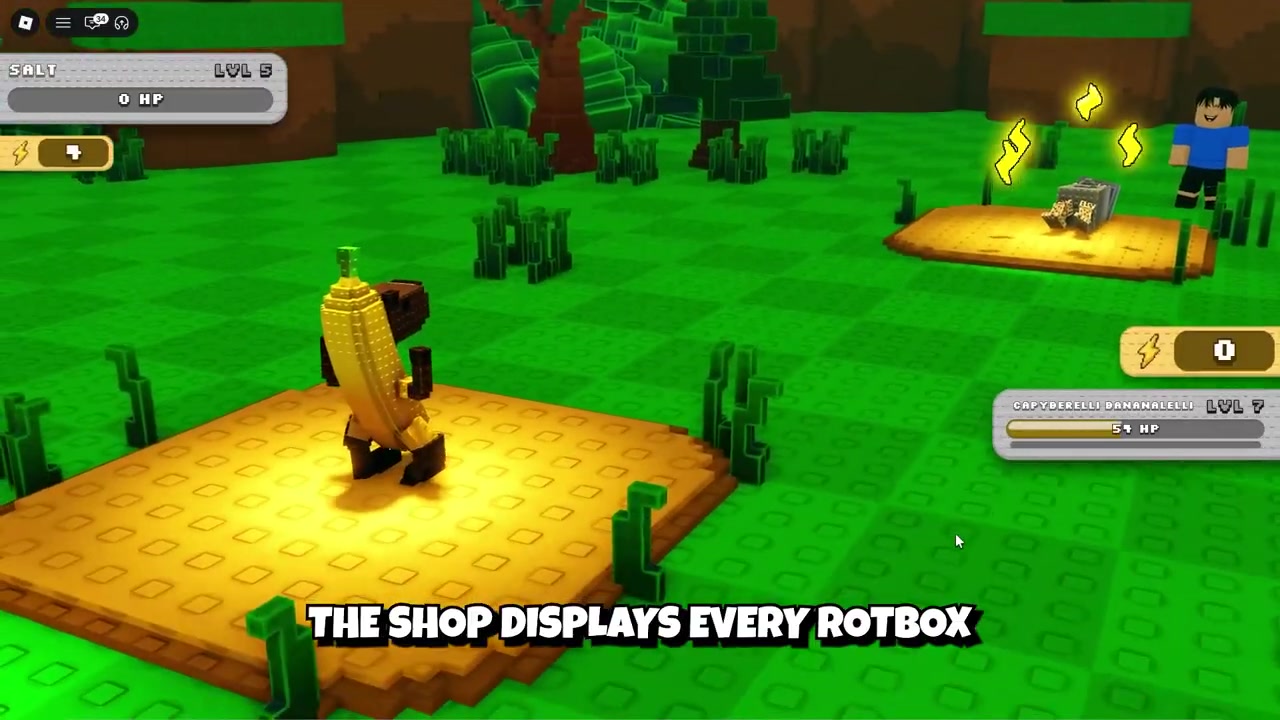 Buy an unlocked Rotbox