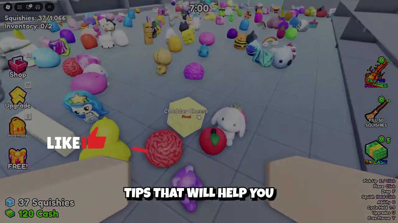 Learn the store layout