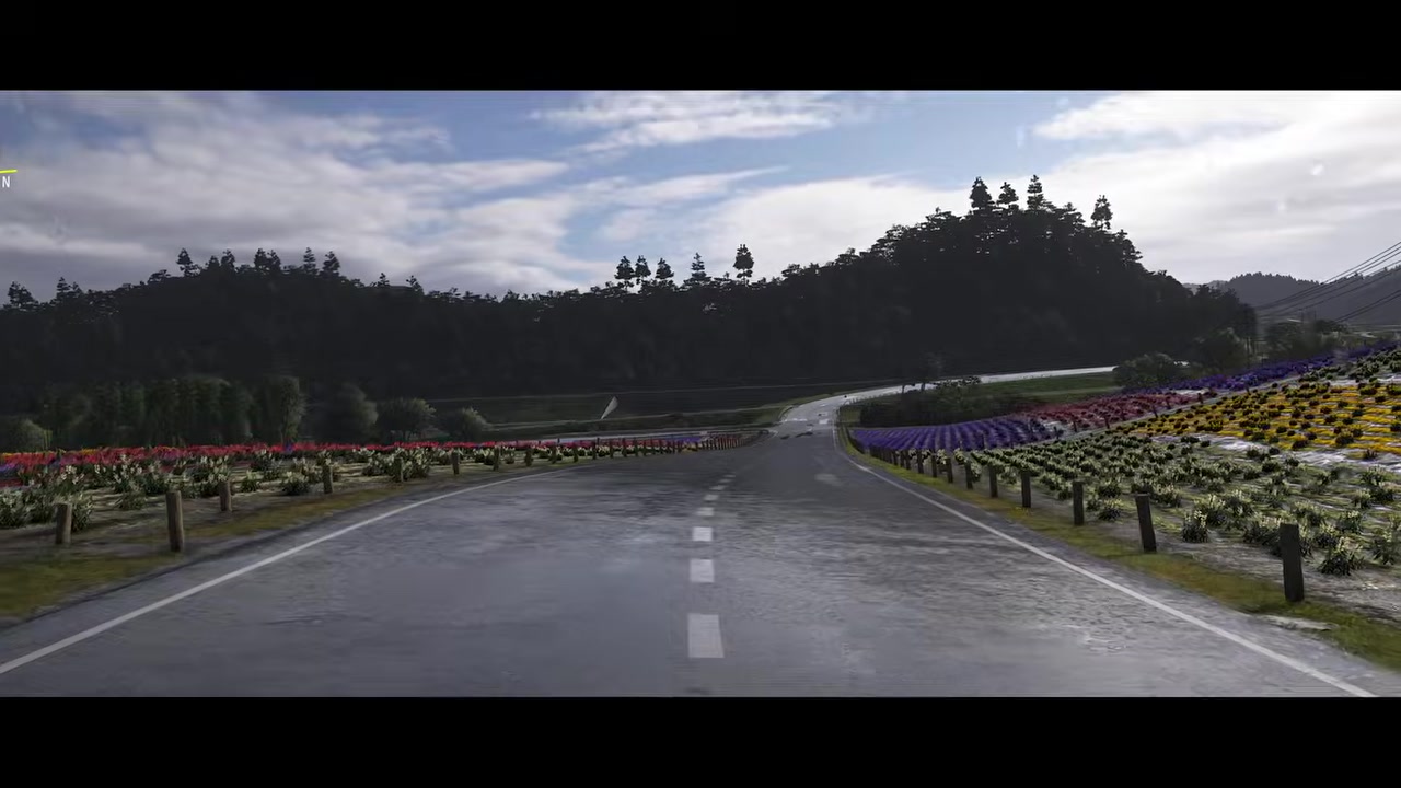Drive into Shikisai-no-Oka