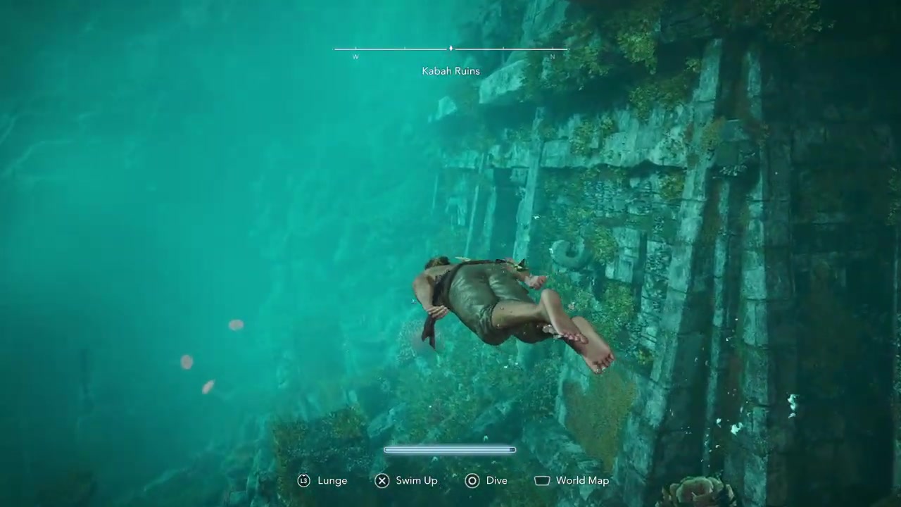 Drop toward the jellyfish
