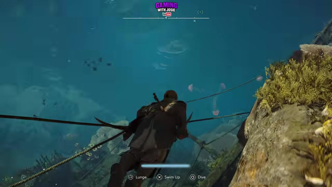 Follow the jellyfish cluster