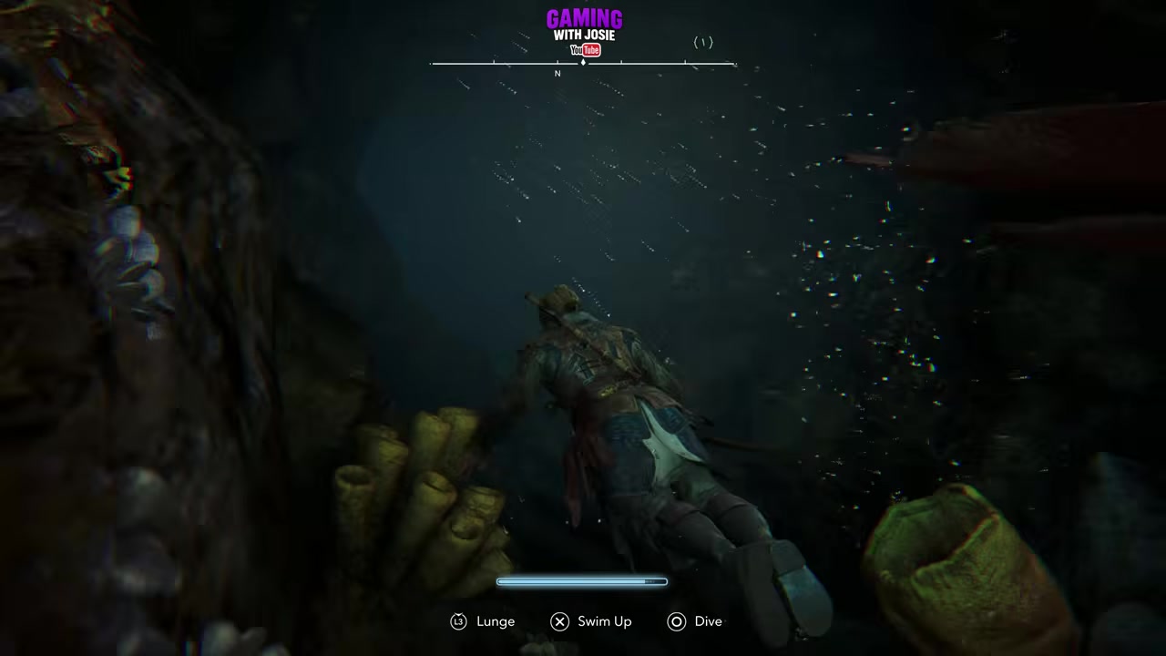 Swim through the underwater tunnel