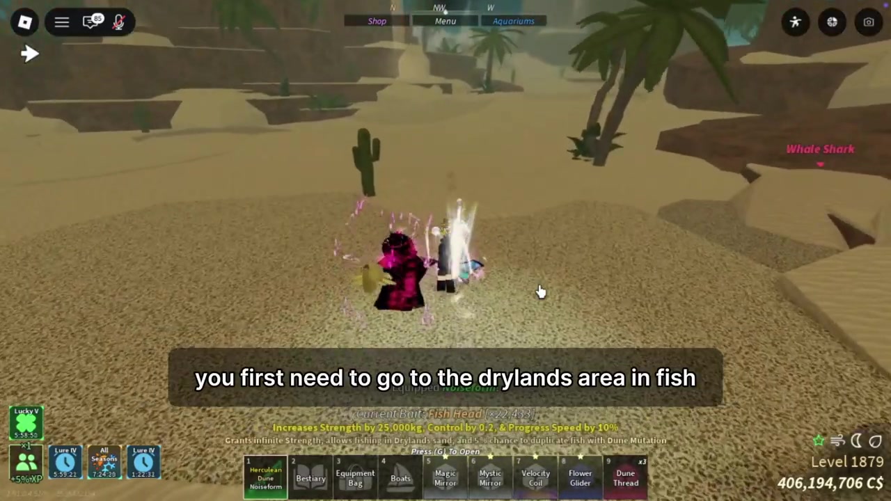 Travel to the Drylands