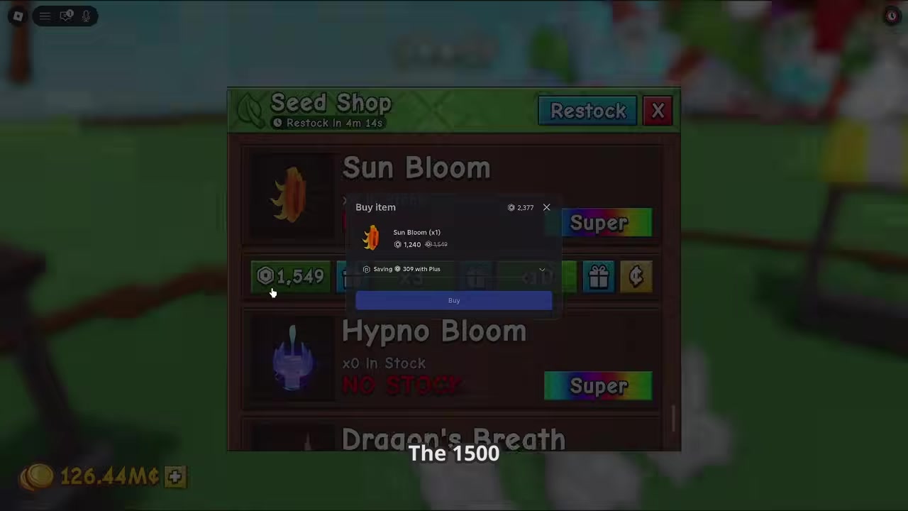 Buy the Sun Bloom seed