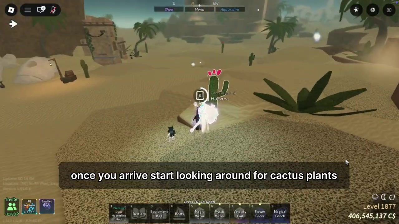 Scan the sand for cactuses