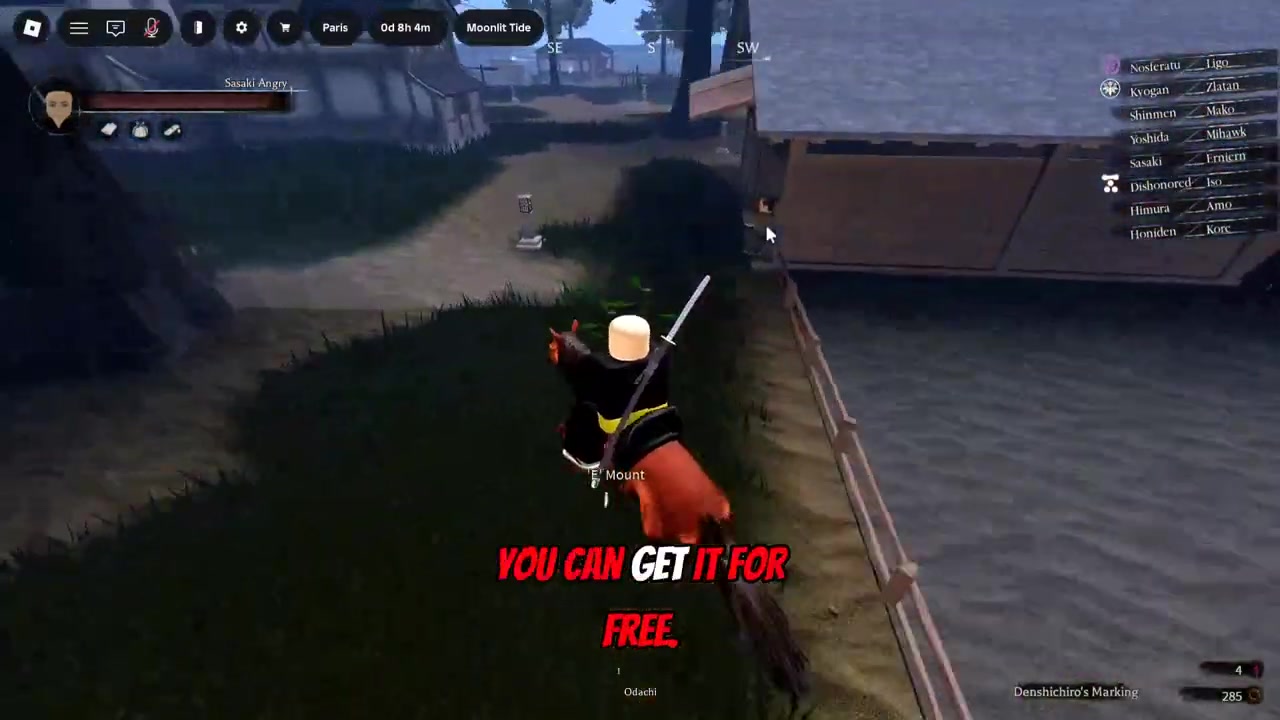 Take the quest instead of buying a horse