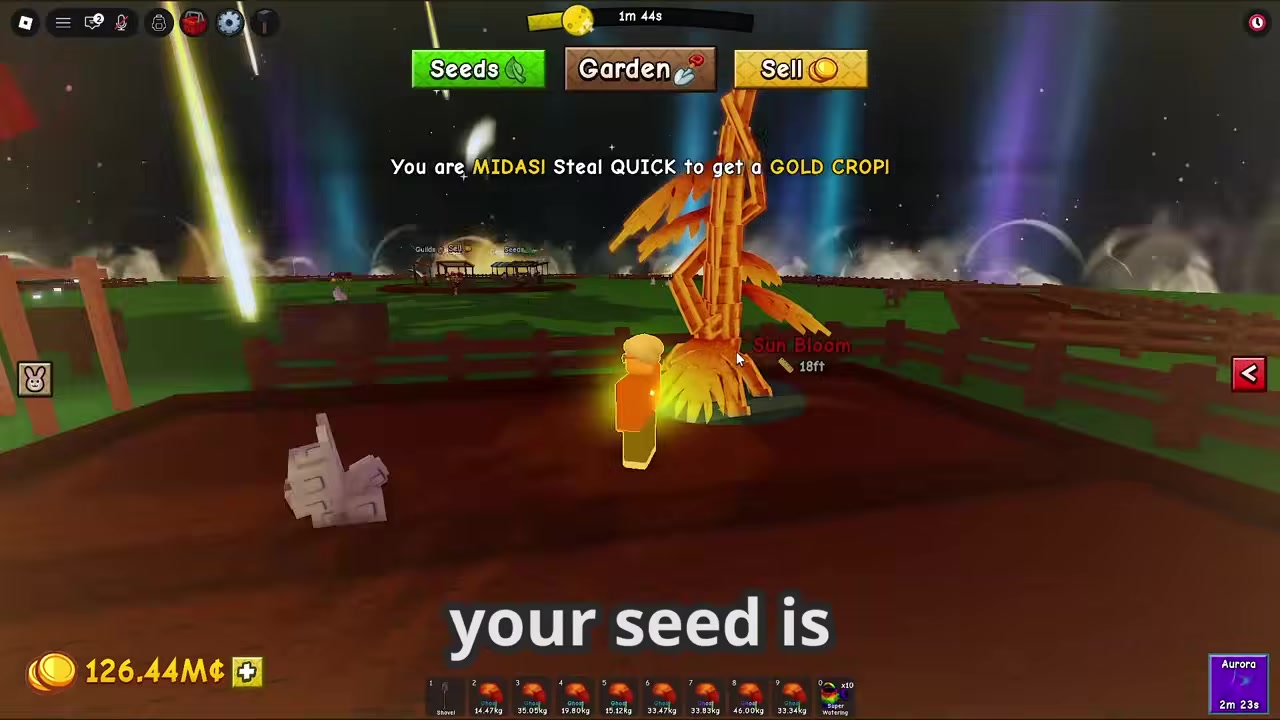 Bring over Moon Bloom