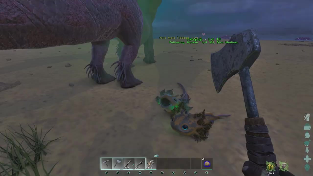 Wait for the companion animation