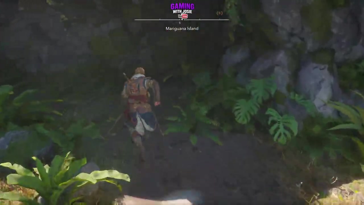 Pass through the hanging vines