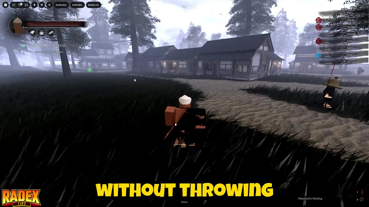 Storm the dojo