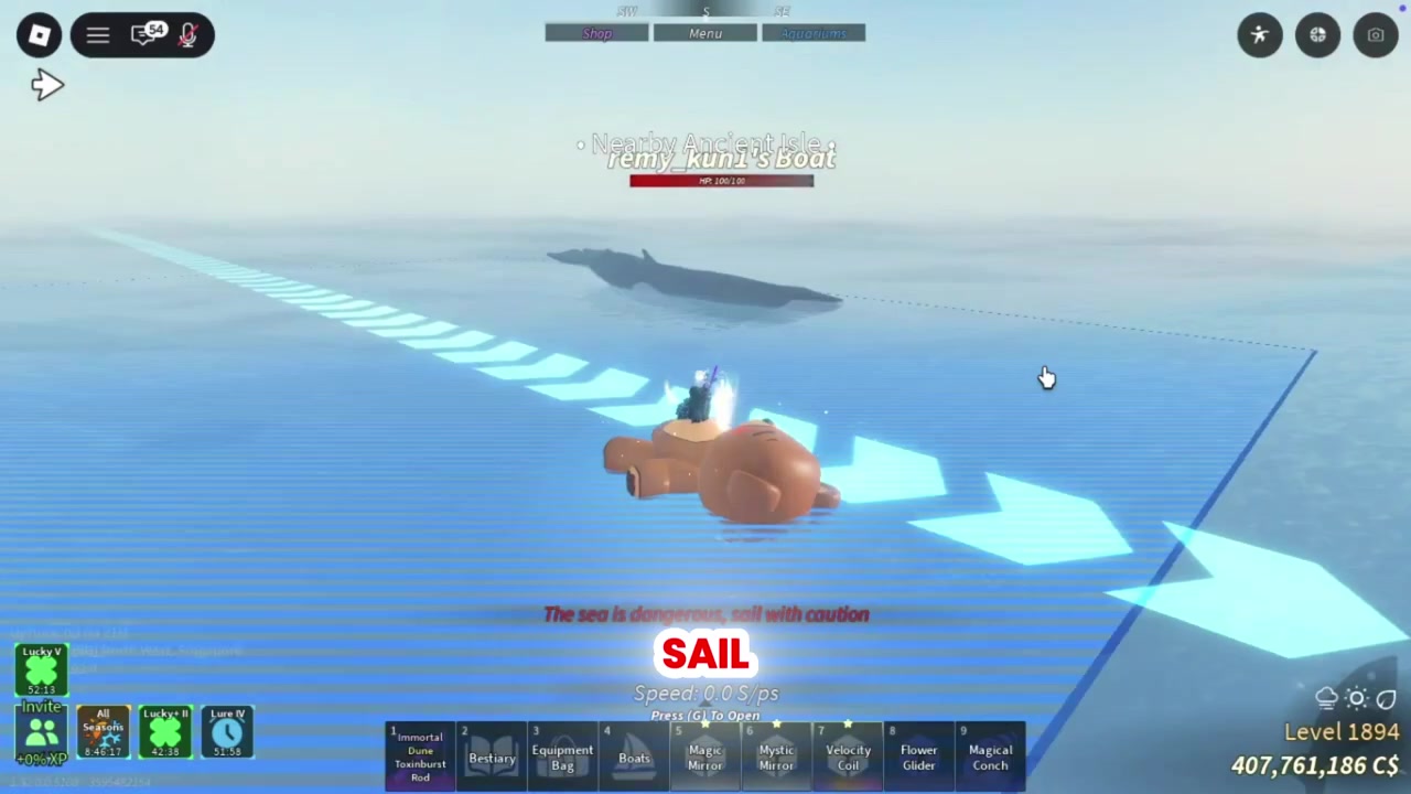 Sail alongside the Fin Whale