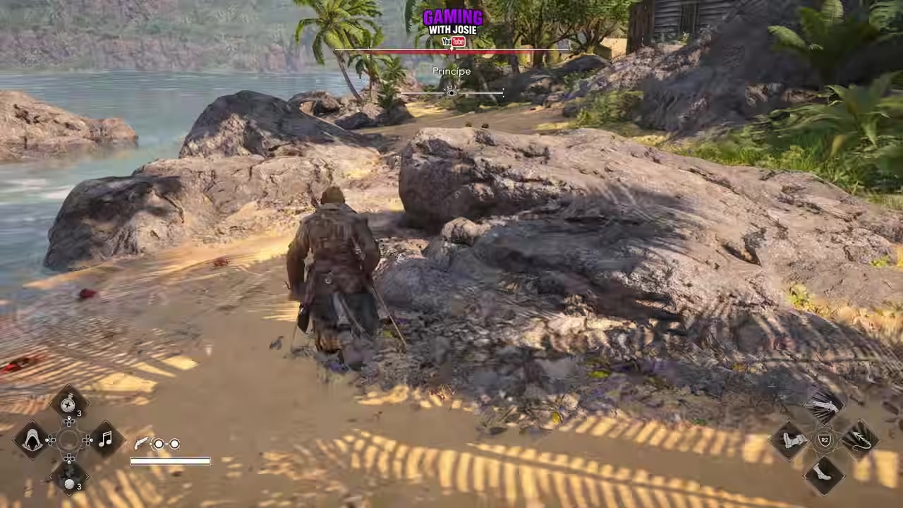 Pass under the palm tree