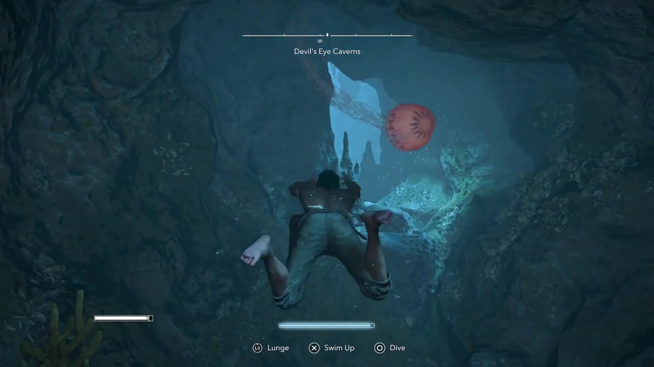 Thread through the jellyfish