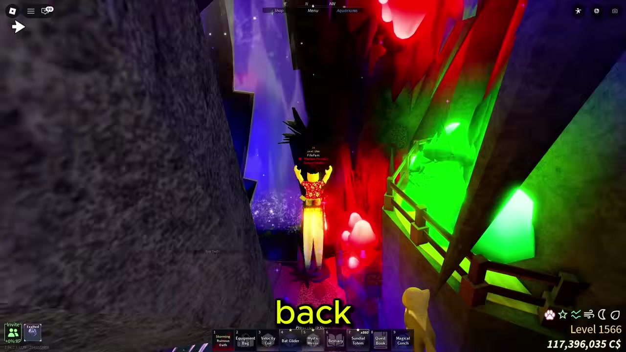 Use the relic at the waterfall