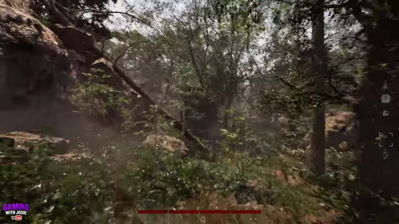Turn left at the fallen tree