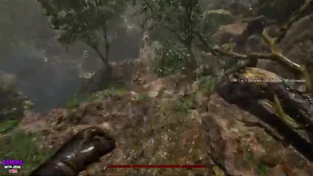 Drop to the rocks below