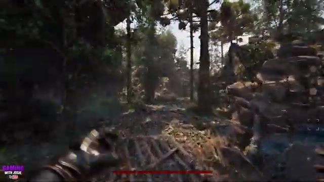 Push through the forest