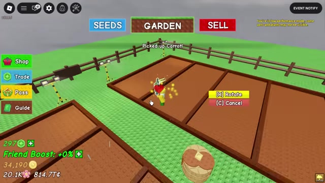 Plant 25 carrots