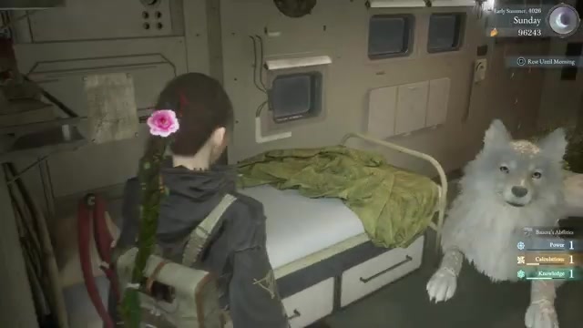 Let the game read your Deluxe license