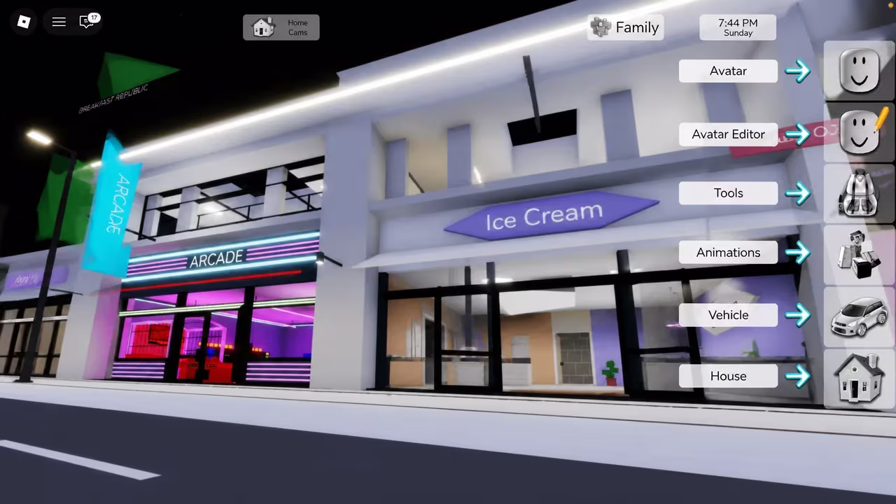 Roblox player