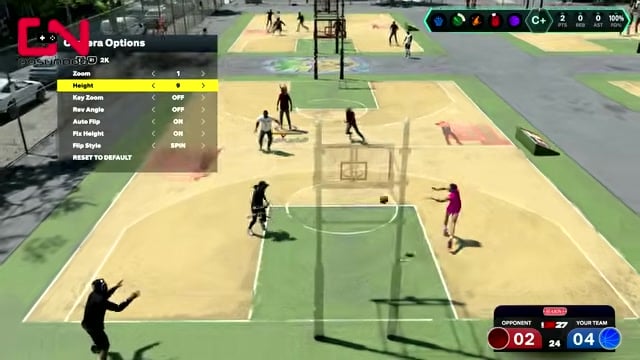 Switch camera views