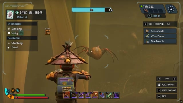 Equip an underwater spear