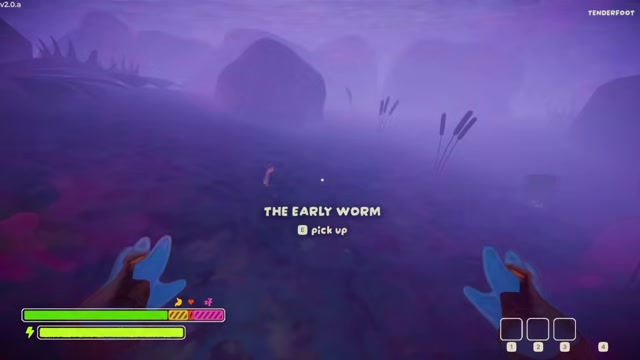 Find The Early Worm