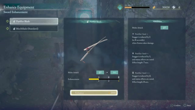 Confirm the Amber cost