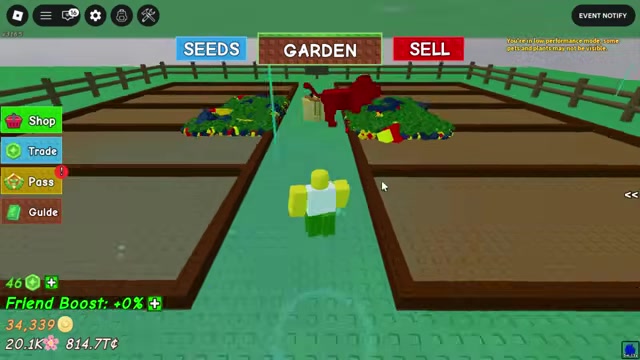 Plant tomatoes