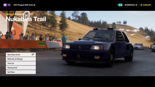 Begin the race