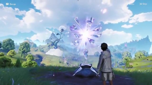 Character creation begins after the server and platform explanation.