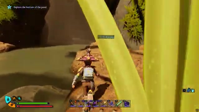 Head inside the cave