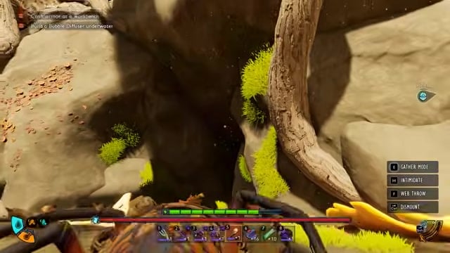 Locate the cave beneath Gnarly Bark
