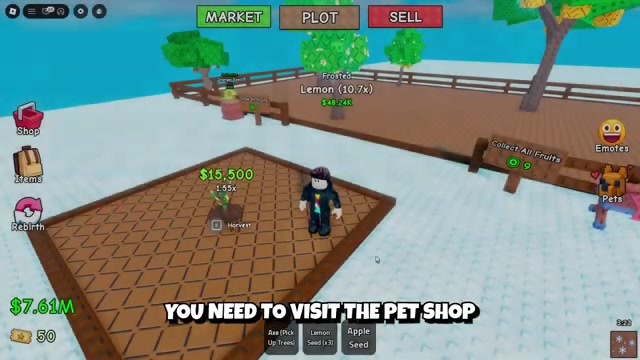 Head to the Pet Shop
