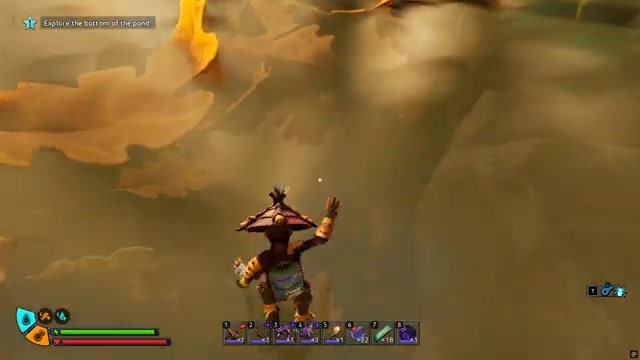 Dive into the pond