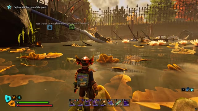 Go to the pond location