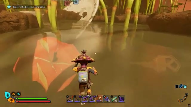 Dive to the Horsetail plants