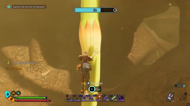 Collect three stems per plant