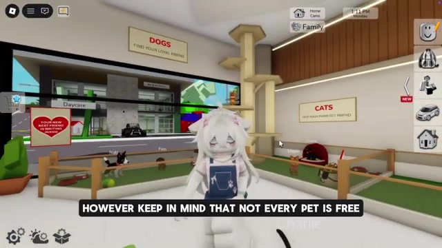 Choose and equip a pet