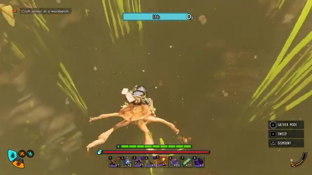 Find a Diving Bell Spider