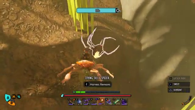 Collect the Diving Bell Spider Chunk