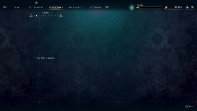 Open Inventory