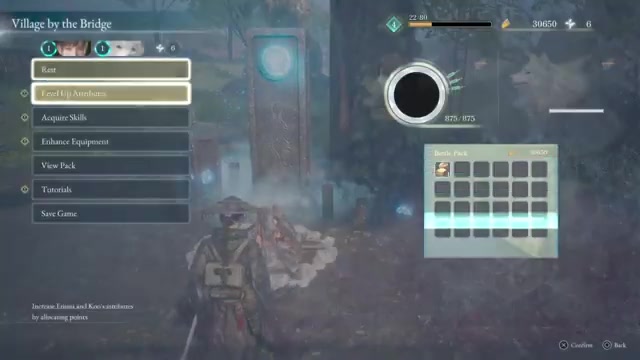 Select Level Up Attributes