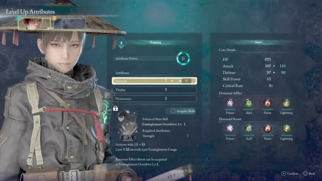 Press the confirm input