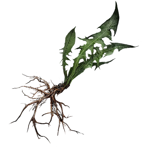 Trollweed in-game icon in Mortal Shell II